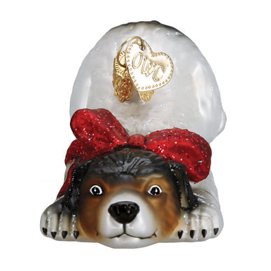 Norman Rockwell Signature Dog