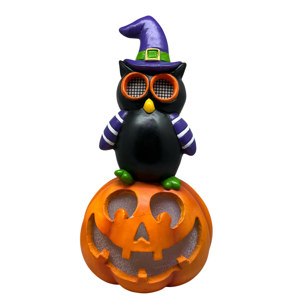 Owl On Pumpkin  With Moving Digital Eyes