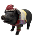 Pig Wearing Scarf Figurine