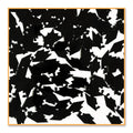Black Grad Caps Confetti