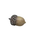 Resin Textured Harvest Acorn - Small
